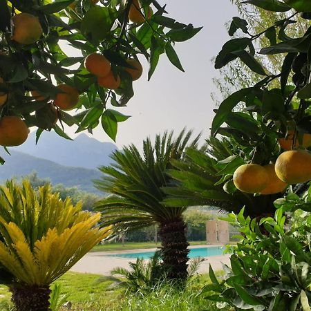 Terra Vitale Cava De' Tirreni Ngoại thất bức ảnh