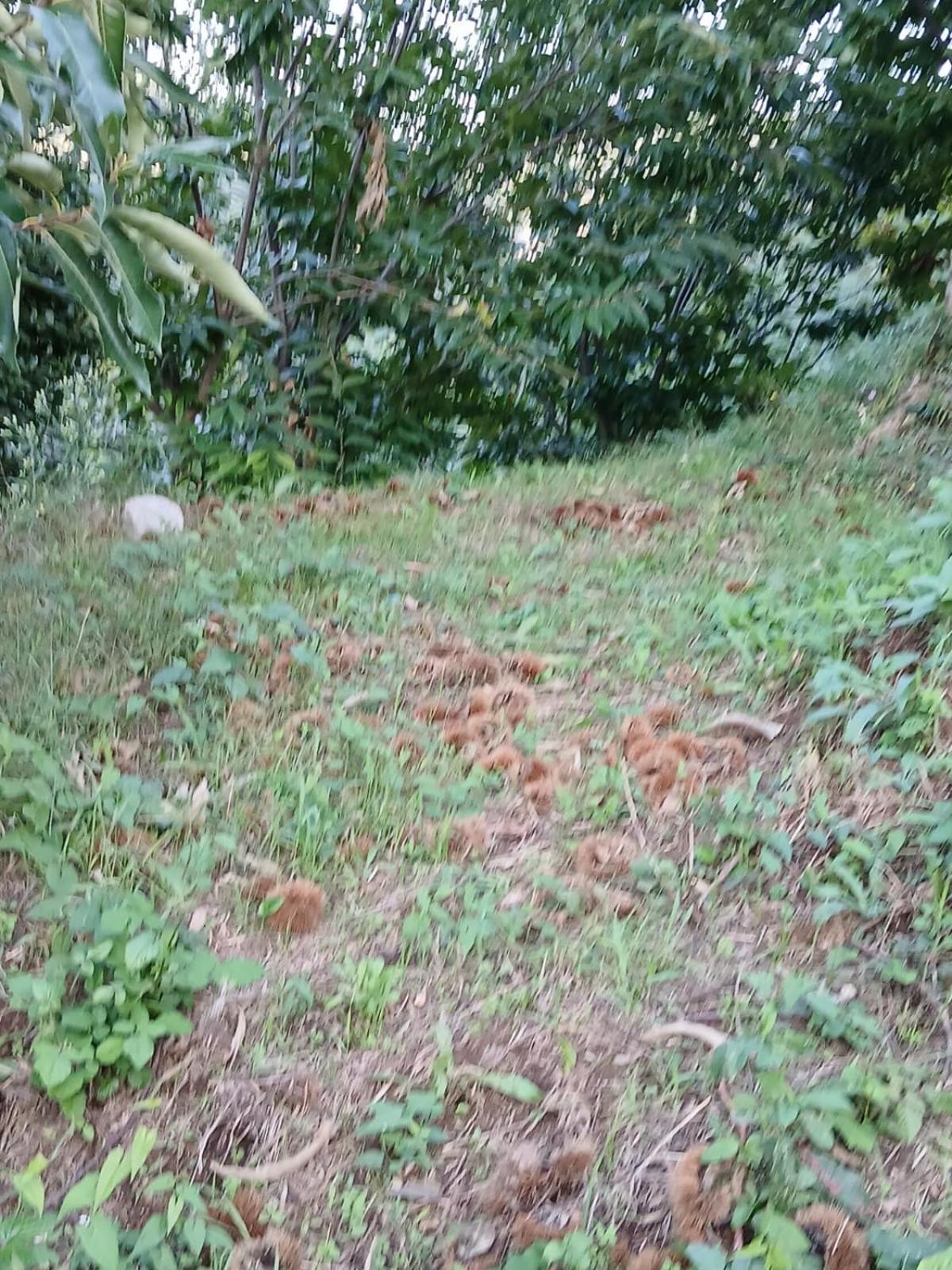 Terra Vitale Cava De' Tirreni Ngoại thất bức ảnh