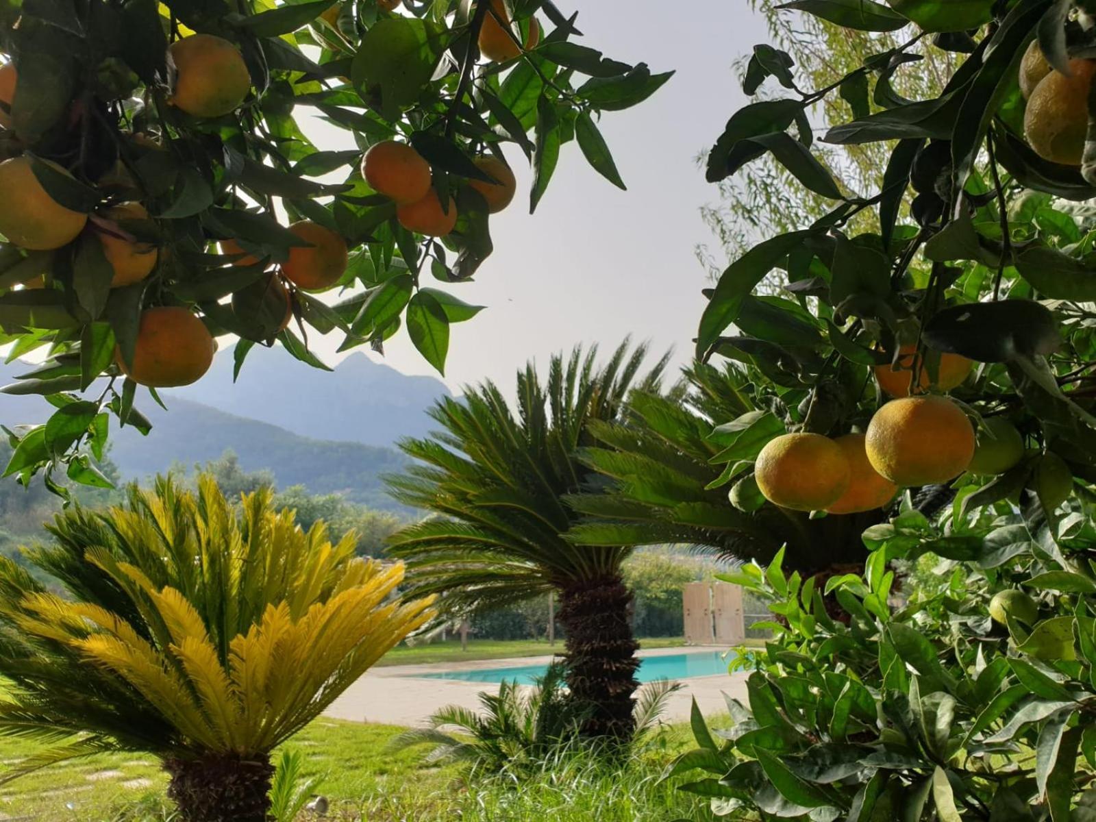 Terra Vitale Cava De' Tirreni Ngoại thất bức ảnh